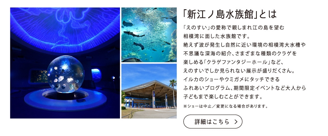 「新江ノ島水族館」とは「えのすい」の愛称で親しまれ江の島を望む相模湾に面した水族館です。絶えず波が発生し自然に近い環境の相模湾大水槽や不思議な深海の紹介、さまざまな種類のクラゲを楽しめる「クラゲファンタジーホール」など、えのすいでしか見られない展示が盛りだくさん。イルカのショーやウミガメにタッチできるふれあいプログラム、期間限定イベントなど大人から子どもまで楽しむことができます。※ショーは中止／変更になる場合があります。