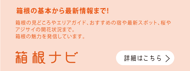 その他のお得なきっぷ 小田急のお得なきっぷ