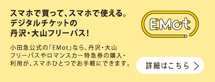丹沢 大山フリーパス 小田急のお得なきっぷ