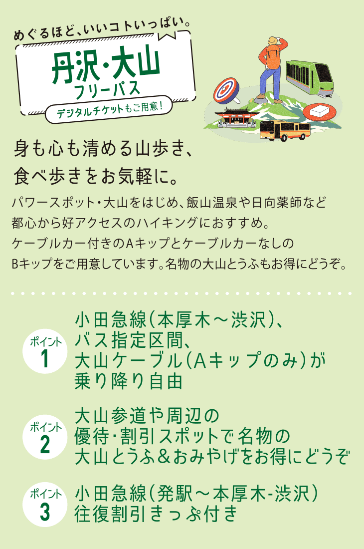 丹沢 大山フリーパス 小田急のお得なきっぷ