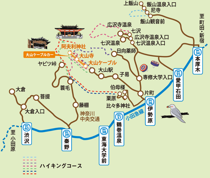 丹沢 大山フリーパス 小田急のお得なきっぷ