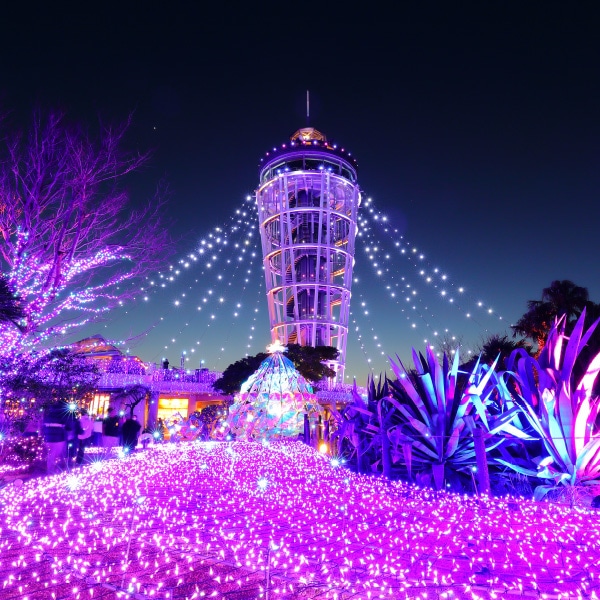 江の島サムエル・コッキング苑 ※+ナイトのみ イメージ
