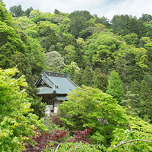 大山寺 イメージ